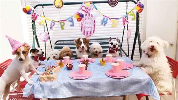 Tatildeyken Aklimiz Onlarda Kalmasin Son Dakika Magazin